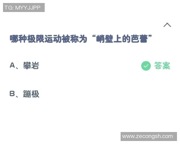 广州极限运动队的边路渗透策略与热点分析探讨